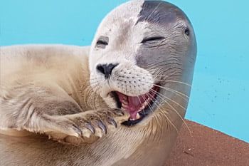 6721Aa12D8Ddc0Fbc54C695F836Ec6C3