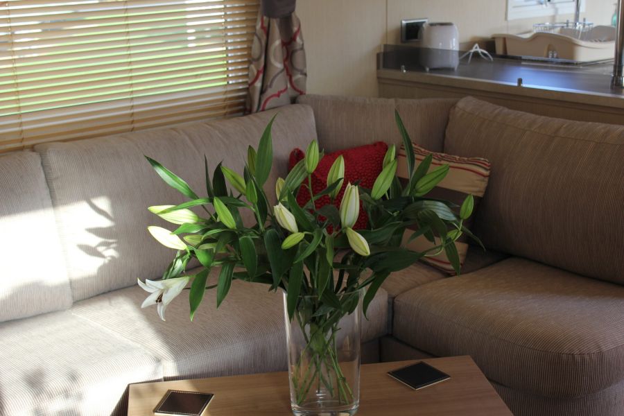 758685A8847E106Bd43Ea0721445C41B