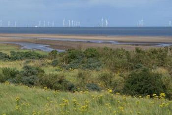 Cb49370436Df716F614Cfdb96A989Cbe