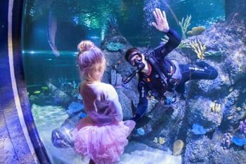 D047D53185Cd5250Fc33F9F5872271C4